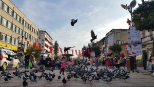 Kış güneşi içimizi ısıttı