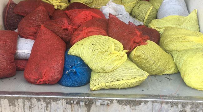 Satışı yasak 1 ton 600 kilogram midye yakalandı