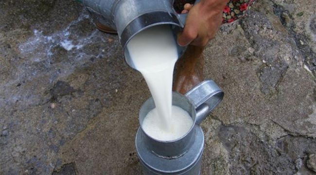‘Sokak sütü daha sağlıklı’