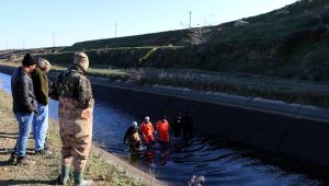 Avukatı arama çalışmaları sürüyor