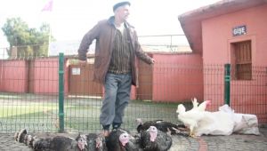 Hindiye talep azalıyor