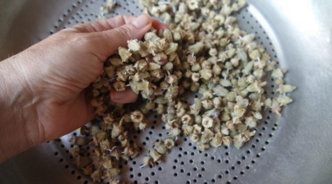 Kuru bamya altınla yarışıyor