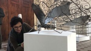 Öğrenciler Edirne'de açık artırmaya katıldı