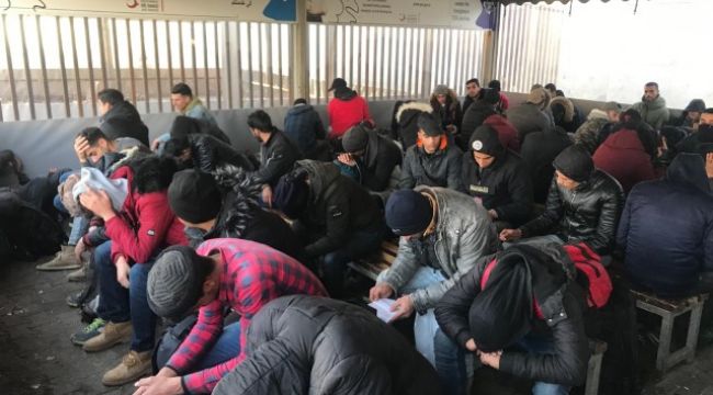 Sınırda 178 kaçak göçmen yakalandı