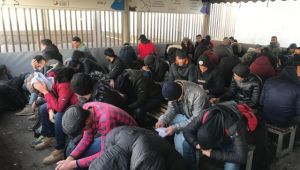 Sınırda 178 kaçak göçmen yakalandı