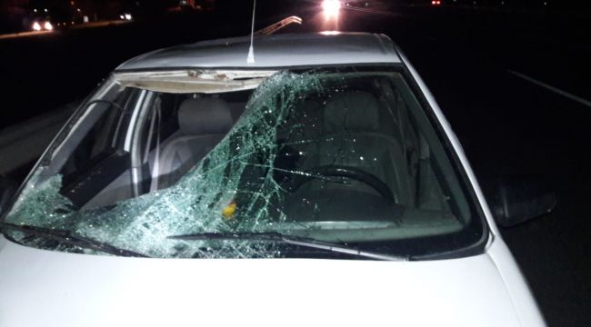Trafik kazasında 1 ölü, 1 yaralı