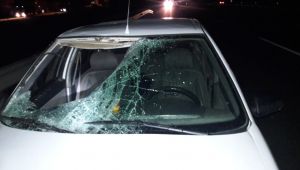 Trafik kazasında 1 ölü, 1 yaralı