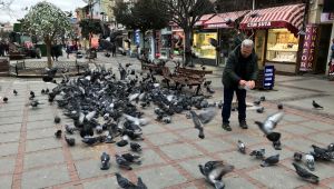 10 yıllık Güvercin dostu