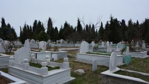 2019 yılında 348 defin