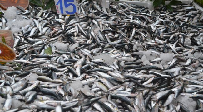 3 kilo balık 1 kilo et