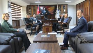 Geçici iş görmezlik protokolü