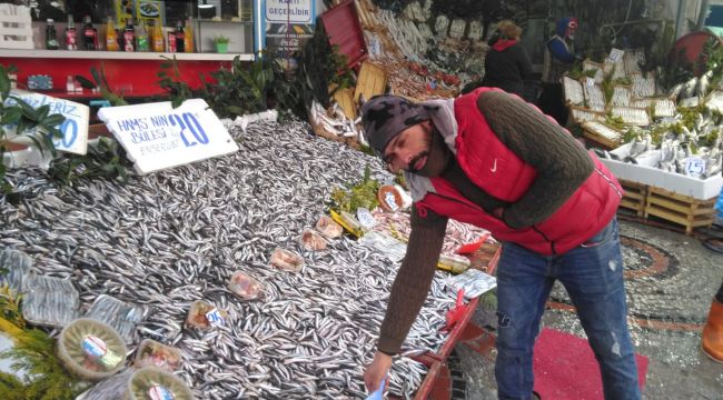 Hamside kampanya bitti