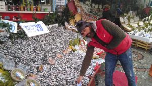 Hamside kampanya bitti