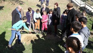 Okullara 300 hünnap fidanı