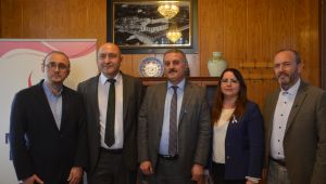 ‘Alternatif tıp bilimin önüne geçmemeli’