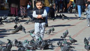 Baharın arkası fırtına