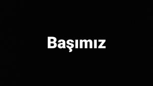 Şehit olan asker sayısı 33'e yükseldi