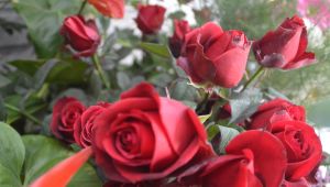 Sevgililerin cebi ekonomik