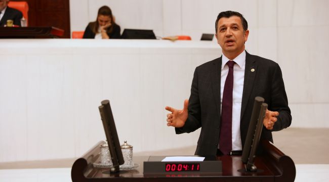 ‘Taş ocakları kıyıya zarar veriyor’