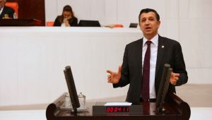 ‘Taş ocakları kıyıya zarar veriyor’