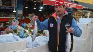 Ton balığı tezgahta