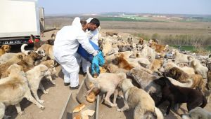 ‘Can dostlarımızı unutmuyoruz’