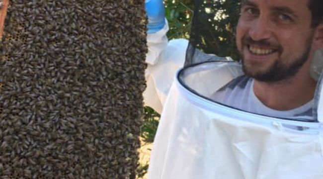 Korona virüse karşı propolis
