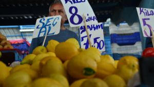 Limon altın çağını yaşıyor
