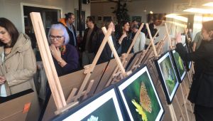 Tıp Haftasına özel 20 eser