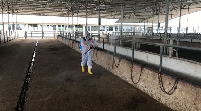 Borsa faaliyetlerine devam ediyor