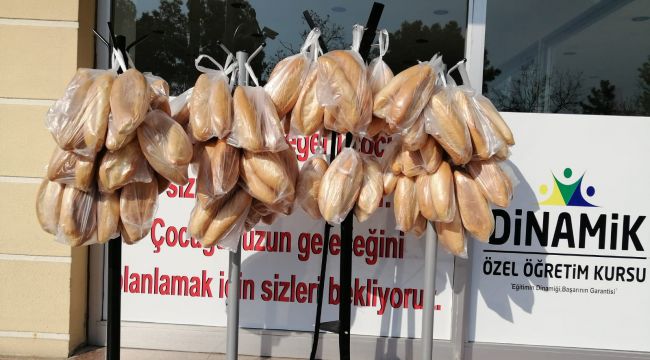 Dinamik kolejinden örnek davranış