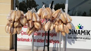 Dinamik kolejinden örnek davranış