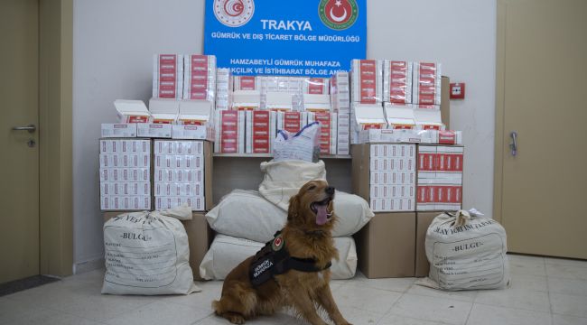 Edirne'de iki tırda yaklaşık 25 milyon makaron ve 44 kilo esrar ele geçirildi