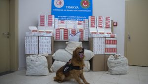 Edirne'de iki tırda yaklaşık 25 milyon makaron ve 44 kilo esrar ele geçirildi