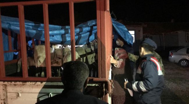 Köylerden koyun çalan 4 zanlıyı JASAT yakaladı