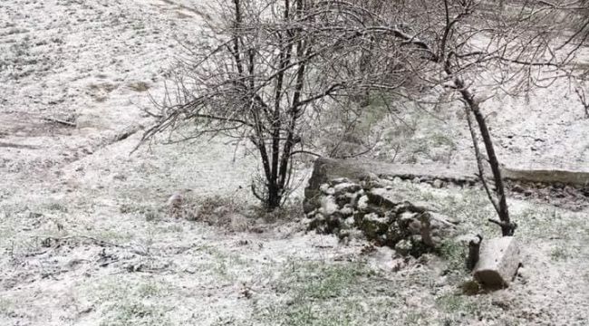 Lalapaşa baharda beyaza büründü