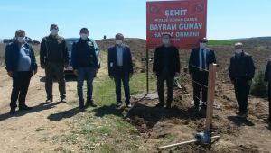 Şehit Uzman Çavuş Günay'ın adına hatıra ormanı oluşturuldu