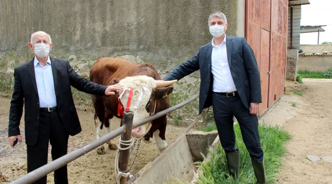 81 yaşındaki çiftçi
