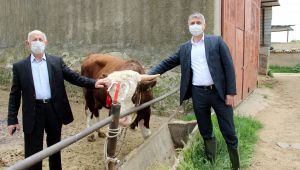 81 yaşındaki çiftçi
