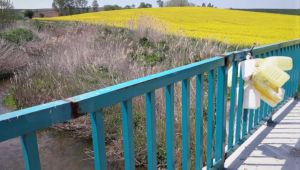 Derelerden tarım ilacı kutuları akıyor