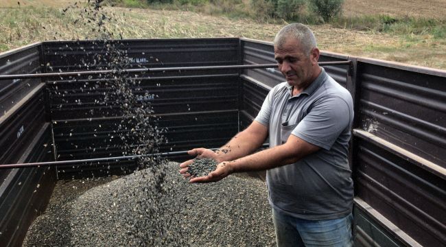 Dünya Çiftçiler Günü