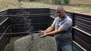 Dünya Çiftçiler Günü