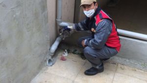 İtfaiye, su oluğuna sıkışan kedi yavrusunu kurtardı