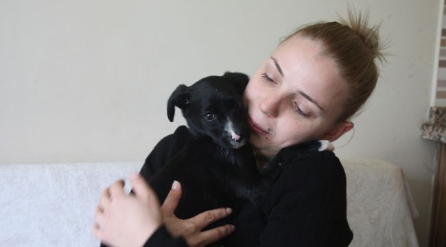 Kanser hastası Moldova uyruklu kişi, yavru köpeğe sahip çıktı
