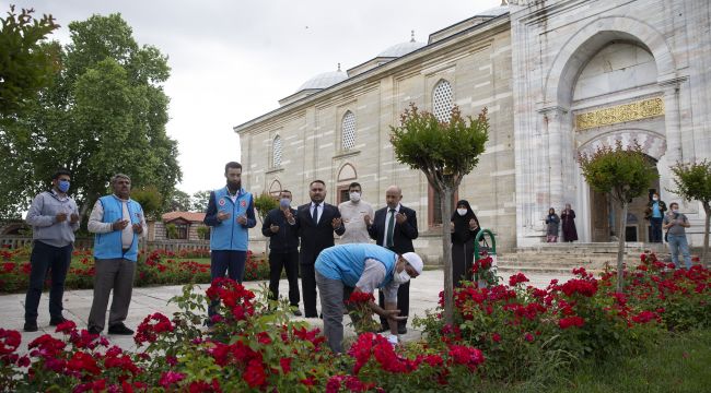 Selimiye’de şükür kurbanı kesildi