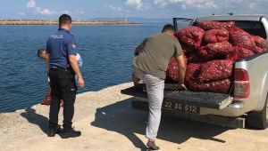 Edirne'de 1 ton kaçak midye ele geçirildi