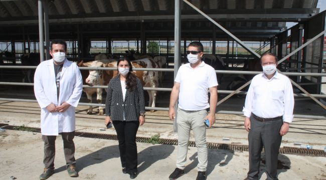Edirne Tarım ve Orman Müdür Yardımcısı Türkarslan'dan hayvan pazarına ziyaret