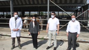 Edirne Tarım ve Orman Müdür Yardımcısı Türkarslan'dan hayvan pazarına ziyaret