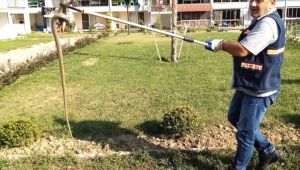 Girdiği süs havuzundan çıkarılan yılan, doğaya bırakıldı
