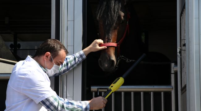 Kapıkule'de Veteriner Sınır Kontrol Noktası'nın yapımında sona gelindi